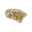 Show details for SOFT CLAWS TAKE HOME KIT CANINE MEDIUM - Gold Sparkle Picture of SOFT CLAWS TAKE HOME KIT CANINE MEDIUM - Gold Sparkle