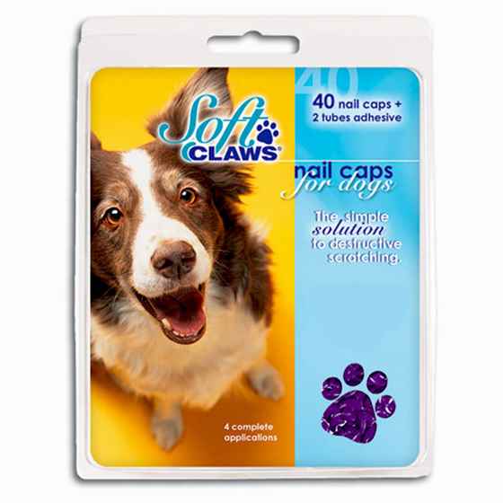 Picture of SOFT CLAWS TAKE HOME KIT CANINE XLARGE - Purple