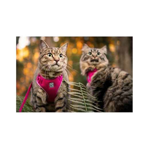 Picture of LEAD AND HARNESS COMBO FELINE RC ADVENTURE KITTY Large - Raspberry