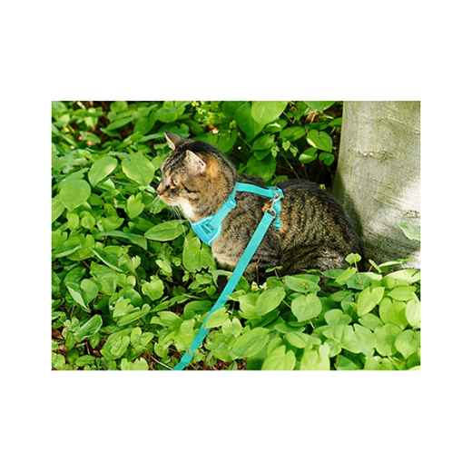 Picture of LEAD AND HARNESS COMBO FELINE RC ADVENTURE KITTY Large - Teal