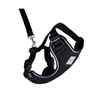 Picture of LEAD AND HARNESS COMBO RC ADVENTURE KITTY Large - Black