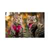 Picture of LEAD AND HARNESS COMBO RC ADVENTURE KITTY Medium - Raspberry