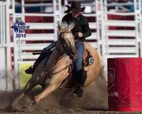 Picture for category Supplements