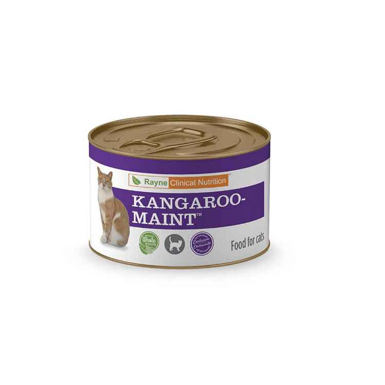 Picture of FELINE RAYNE KANGAROO MAINTENANCE - 12 x 156gm