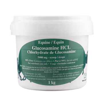 Picture of GLUCOSAMINE HCL EQUINE - 1kg