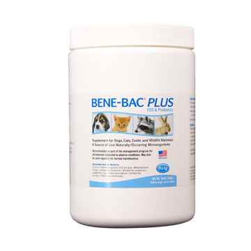 Picture of BENE - BAC PLUS PET POWDER - 1lb(tp)