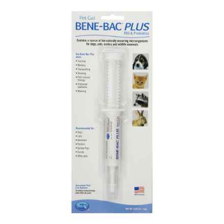 Picture of BENE - BAC PLUS PET Gel - 15g