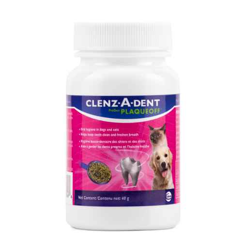 Picture of CLENZ-A-DENT ProDen PLAQUEOFF - 40g