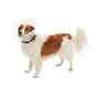 Picture of BUSTER COLLAR CLASSIC CLEAR (273391) - 7.5cm