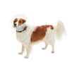 Picture of BUSTER COLLAR CLASSIC CLEAR (273392) - 10cm