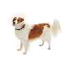 Picture of BUSTER COLLAR CLASSIC CLEAR (273393) - 12.5cm