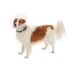 Picture of BUSTER COLLAR CLASSIC CLEAR (273394) - 15cm