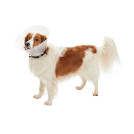 Picture of BUSTER COLLAR CLASSIC CLEAR (273397) - 30cm