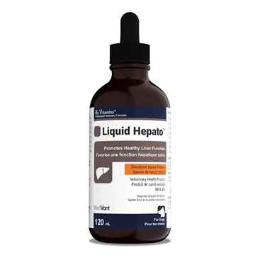 Picture of RX VITAMINS HEPATO SUPPORT LIQUID BACON FLAVOUR - 120ml