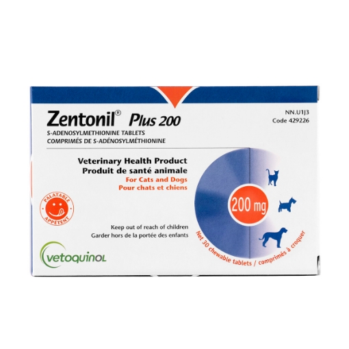 Picture of ZENTONIL PLUS 200mg CHEWABLE TABS - 30's