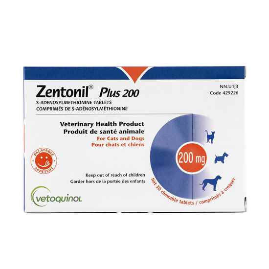 Picture of ZENTONIL PLUS 200mg CHEWABLE TABS - 30's