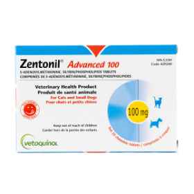 Show details for ZENTONIL ADVANCED CHEWABLE TABS 100mg - 30's Elevate Pet Wellness: Zentonil Advanced 100mg