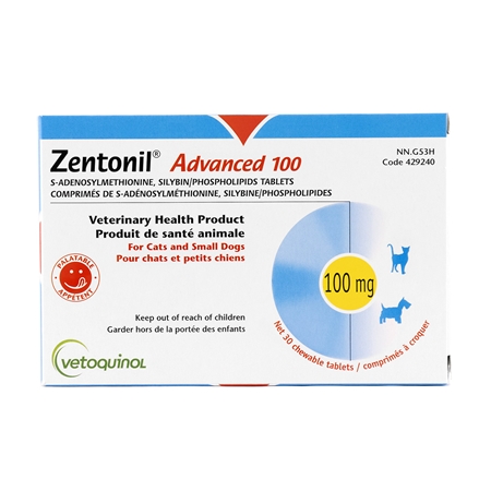 Picture of ZENTONIL ADVANCED CHEWABLE TABS 100mg - 30's