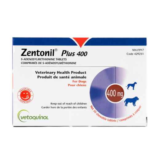 Picture of ZENTONIL PLUS 400mg CHEWABLE TABS - 30's