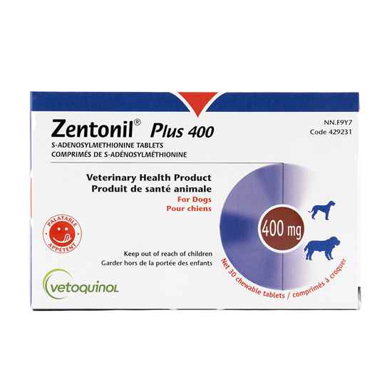 Picture of ZENTONIL PLUS 400mg CHEWABLE TABS - 30's