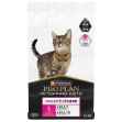 Picture of FELINE PVD ESSENTIAL CARE ADULT - 1.6kg