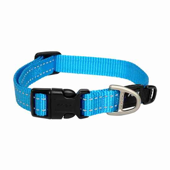 Picture of COLLAR CANINE ROGZ UTILITY NITELIFE Turquoise - 3/8in x 8-12in