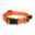 Show details for COLLAR CANINE ROGZ UTILITY NITELIFE Orange - 3/8in x 8-12in Picture of COLLAR CANINE ROGZ UTILITY NITELIFE Orange - 3/8in x 8-12in