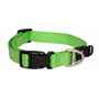 Picture of COLLAR ROGZ UTILITY FANBELT Lime Green - 3/4in x 13-22in