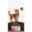 Show details for FELINE PVD ESSENTIAL CARE SENIOR - 3.6kg Picture of FELINE PVD ESSENTIAL CARE SENIOR - 3.6kg