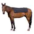 Picture of BACK ON TRACK HORSE BACK WARMER 100 x 120cm