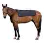 Picture of BACK ON TRACK EQUINE BACK WARMER BLACK - 100cm x 120cm