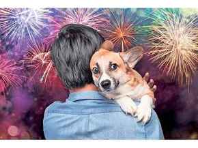 Picture for category Homeopathic Alternatives