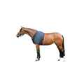 Picture of BACK ON TRACK EQUINE SHOULDER GUARD BLACK - 81in