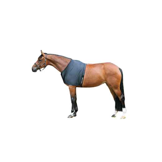 Picture of BACK ON TRACK EQUINE SHOULDER GUARD BLACK - 81in