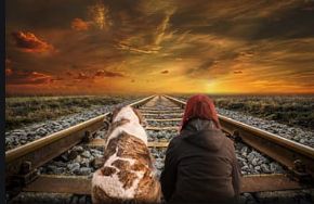 Picture for category Dietary Supplements