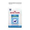 Picture of CANINE Royal Canin ADULT SMALL DOG - 1.5kg