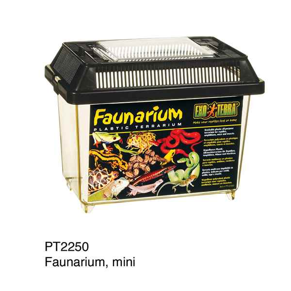 Picture of EXO TERRA FAUNARIUM (PT2250) - 7in x 4in x 5in