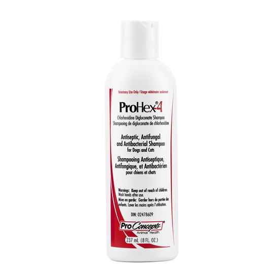 Picture of PROHEX 4 SHAMPOO(4% CHLORHEXIDINE GLUC)for DOGS/CATS - 8oz