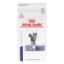 Show details for FELINE RC DENTAL - 3.5kg Picture of FELINE RC DENTAL - 3.5kg