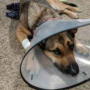 Picture for category Bandages and First Aid