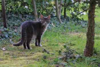 Show products in category Gastrointestinal & Probiotic Supplements Picture for category Gastrointestinal & Probiotic Supplements