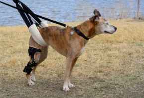 Picture for category Recovery &amp; Rehabilitation Products