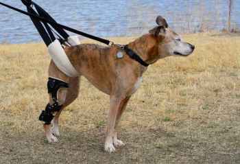 Show products in category Recovery & Rehabilitation Products Picture for category Recovery & Rehabilitation Products