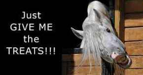 Picture for category Treats &amp; Toys