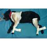 Picture of QUICK SPLINT HIND Small - Left (J0119QL) - 4/pk