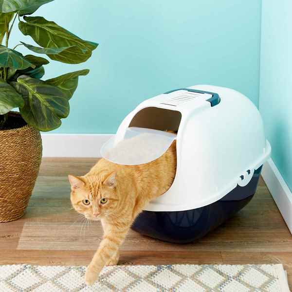 Picture for category Litter Boxes and Accessories