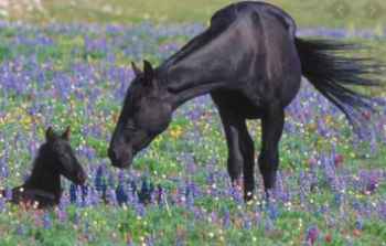 Show products in category Other Specialty Supplies Picture for category Other Specialty Supplies