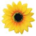 Picture of CANINE SUNFLOWER NECK WEAR YELLOW - Medium/Large