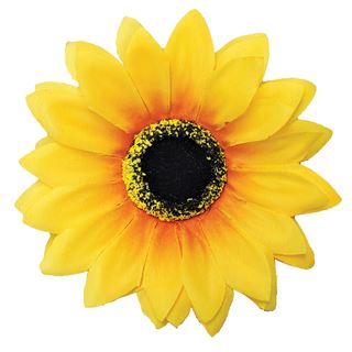 Picture of CANINE SUNFLOWER NECK WEAR YELLOW - Medium/Large