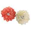 Picture of CANINE POSIES NECK WEAR 2 PACK CORAL & CREAM - X Small/Small